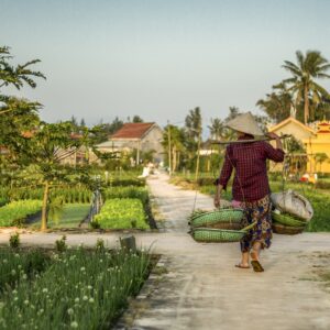 agricultora