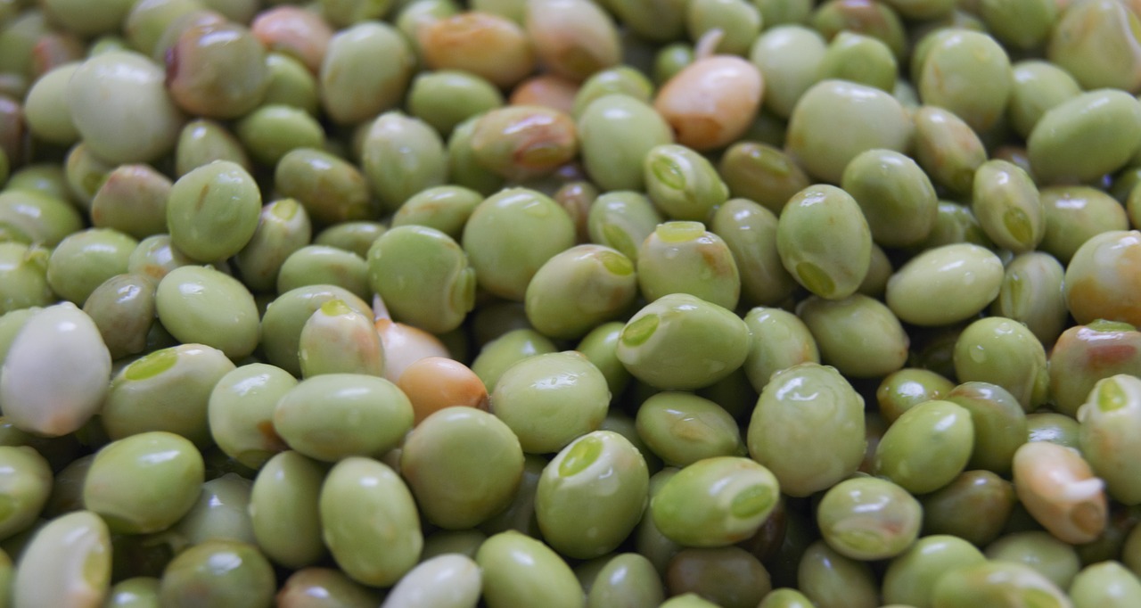 Cultivador de guandules