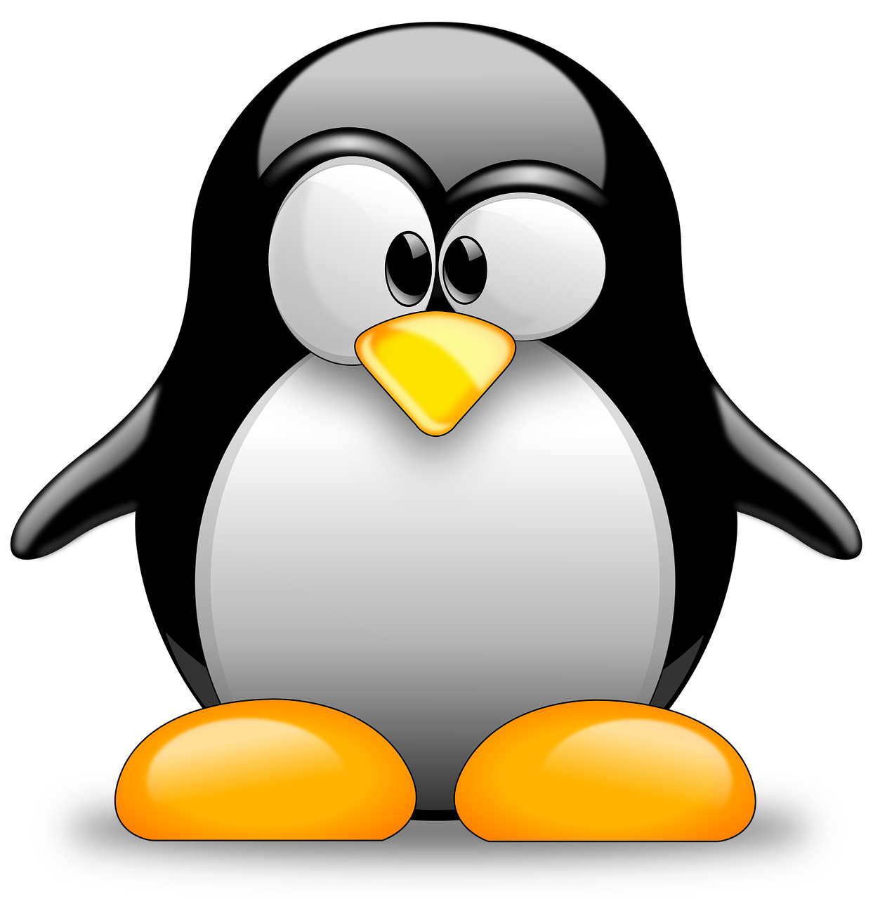 Linux